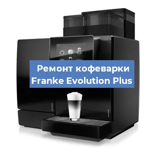Замена жерновов на кофемашине Franke Evolution Plus в Перми